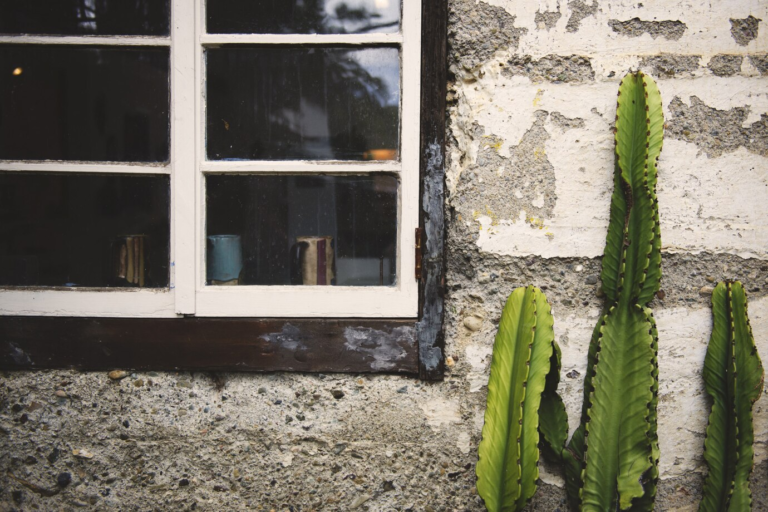 6-Best Ways to Prevent Water Damage to Your Property